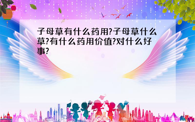 子母草有什么药用?子母草什么草?有什么药用价值?对什么好事?