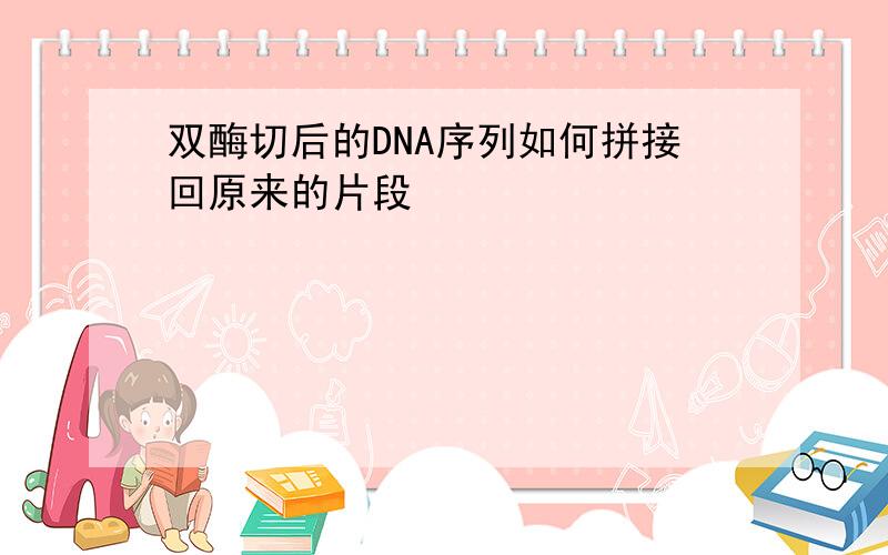 双酶切后的DNA序列如何拼接回原来的片段