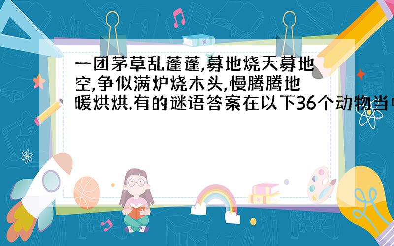 一团茅草乱蓬蓬,募地烧天募地空,争似满炉烧木头,慢腾腾地暖烘烘.有的谜语答案在以下36个动物当中,这