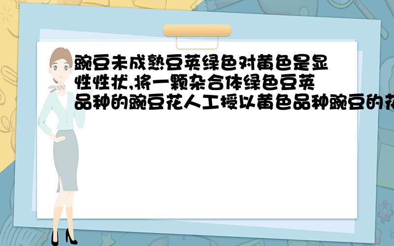 豌豆未成熟豆荚绿色对黄色是显性性状,将一颗杂合体绿色豆荚品种的豌豆花人工授以黄色品种豌豆的花粉.