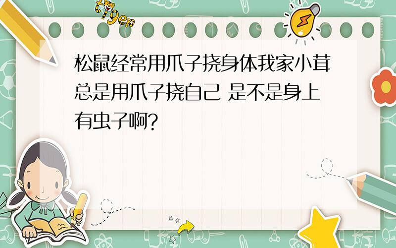 松鼠经常用爪子挠身体我家小茸总是用爪子挠自己 是不是身上有虫子啊?