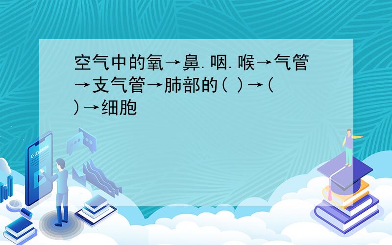 空气中的氧→鼻.咽.喉→气管→支气管→肺部的( )→( )→细胞