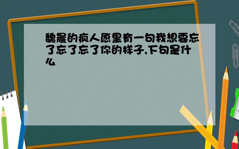 魏晨的疯人愿里有一句我想要忘了忘了忘了你的样子,下句是什么