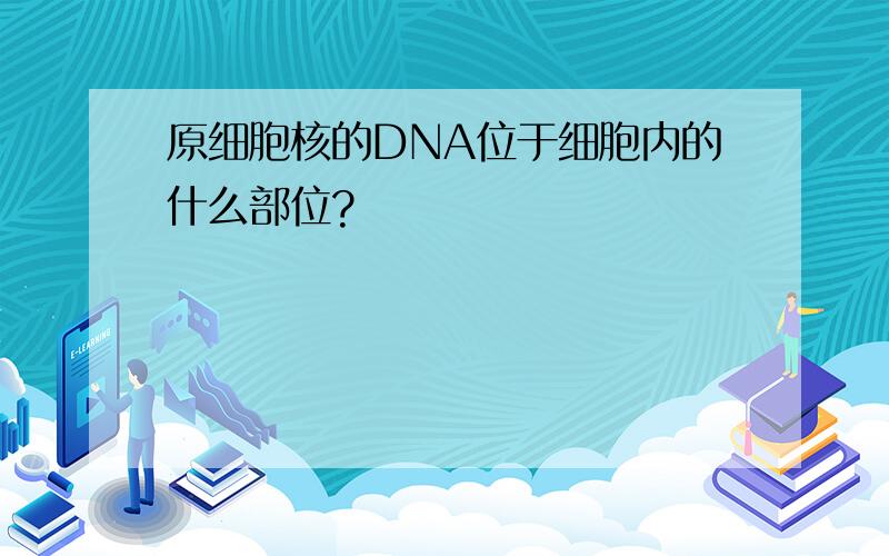 原细胞核的DNA位于细胞内的什么部位?