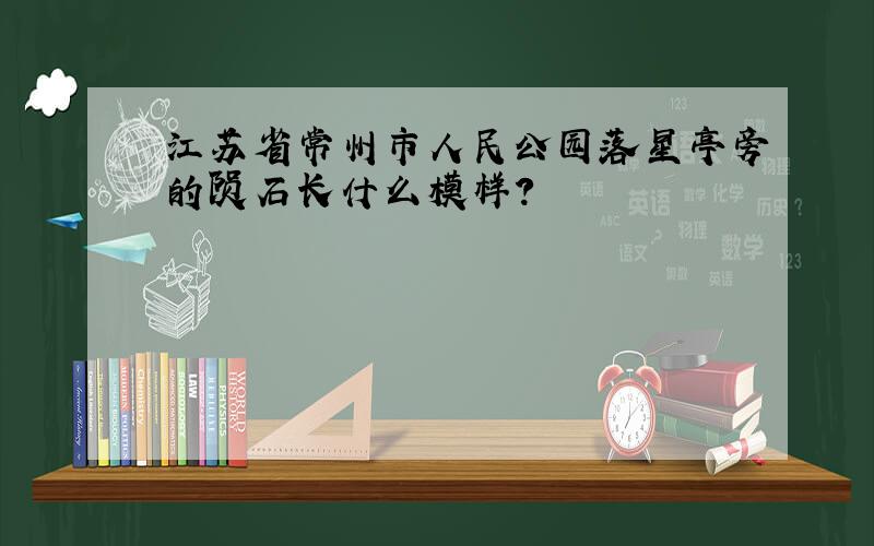 江苏省常州市人民公园落星亭旁的陨石长什么模样?