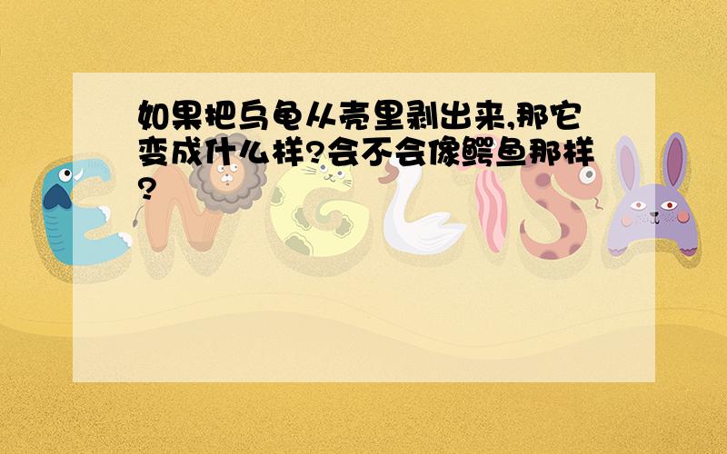 如果把乌龟从壳里剥出来,那它变成什么样?会不会像鳄鱼那样?