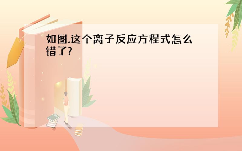 如图.这个离子反应方程式怎么错了?