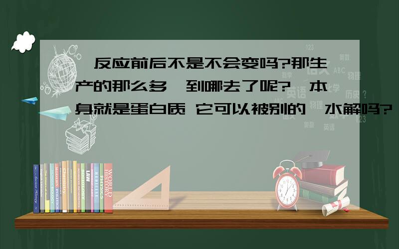 酶反应前后不是不会变吗?那生产的那么多酶到哪去了呢?酶本身就是蛋白质 它可以被别的酶水解吗?