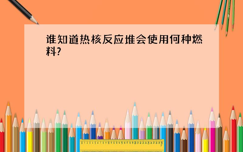 谁知道热核反应堆会使用何种燃料?