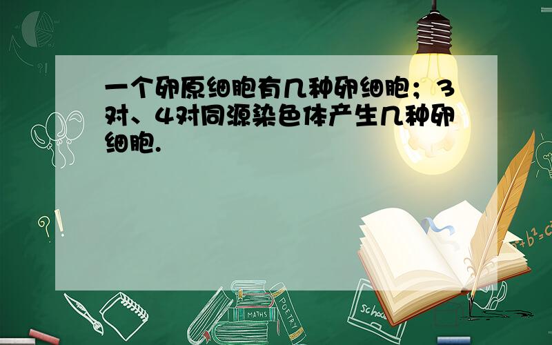 一个卵原细胞有几种卵细胞；3对、4对同源染色体产生几种卵细胞.