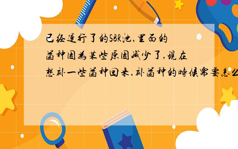 已经运行了的SBR池,里面的菌种因为某些原因减少了,现在想补一些菌种回来,补菌种的时候需要怎么培养那些菌种