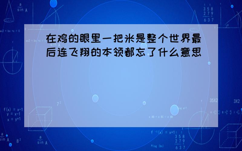 在鸡的眼里一把米是整个世界最后连飞翔的本领都忘了什么意思