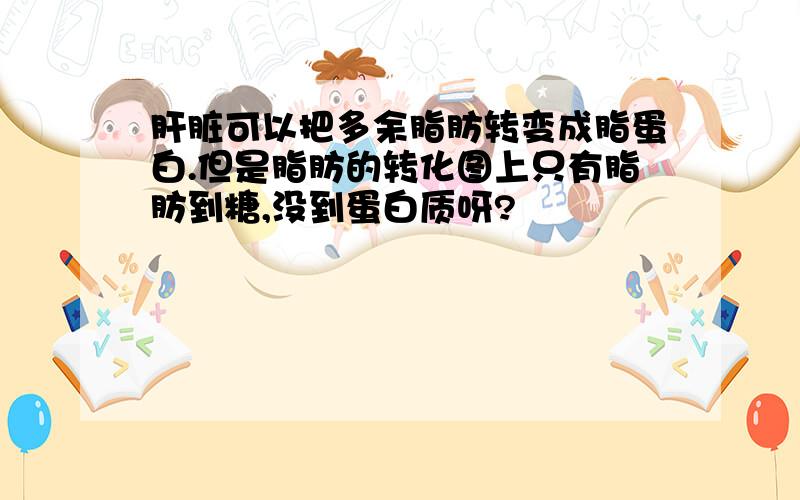 肝脏可以把多余脂肪转变成脂蛋白.但是脂肪的转化图上只有脂肪到糖,没到蛋白质呀?