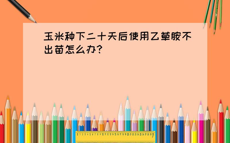 玉米种下二十天后使用乙草胺不出苗怎么办?