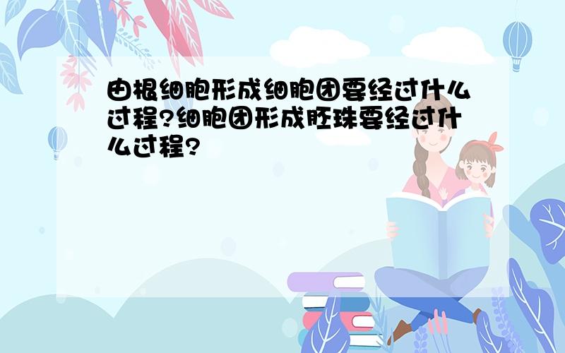 由根细胞形成细胞团要经过什么过程?细胞团形成胚珠要经过什么过程?