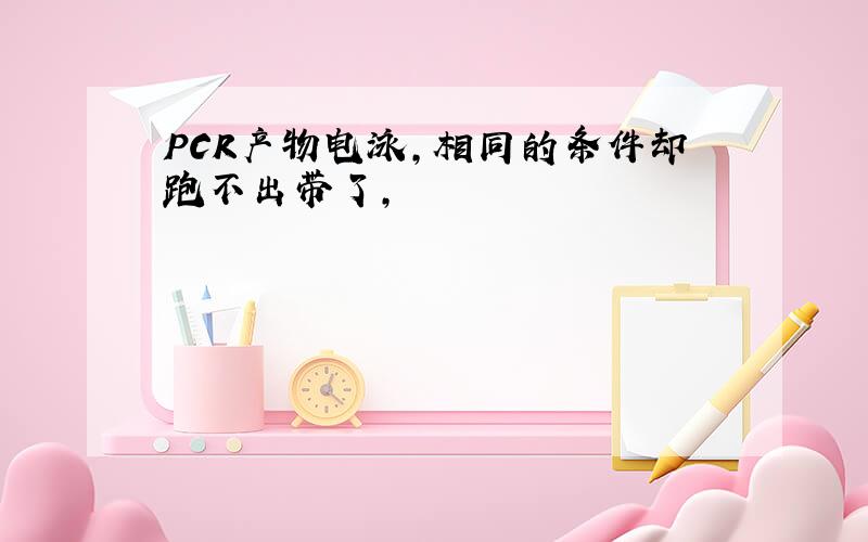 PCR产物电泳,相同的条件却跑不出带了,