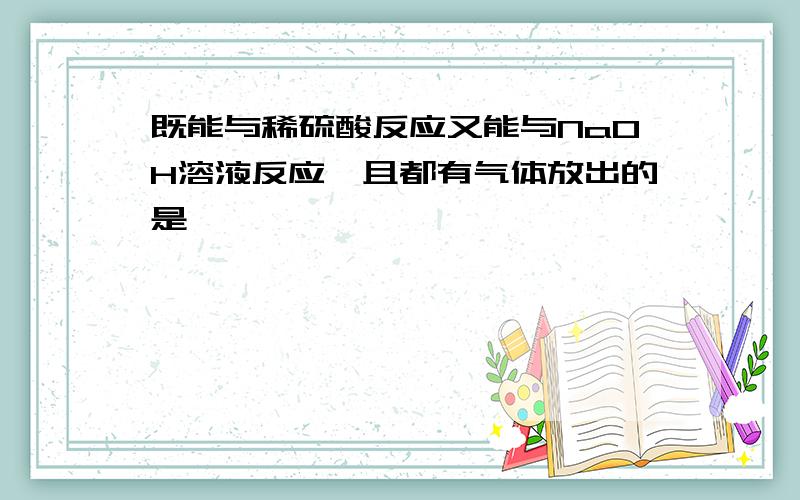 既能与稀硫酸反应又能与NaOH溶液反应,且都有气体放出的是