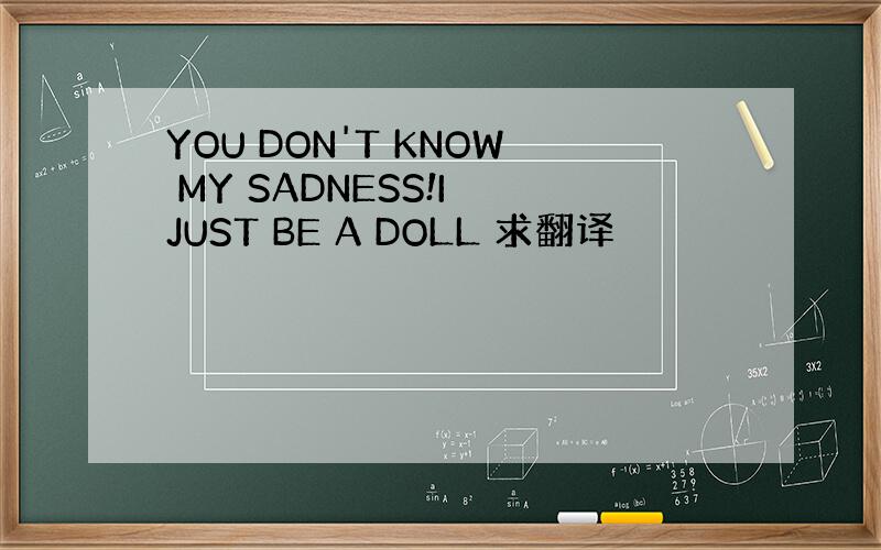 YOU DON'T KNOW MY SADNESS!I JUST BE A DOLL 求翻译