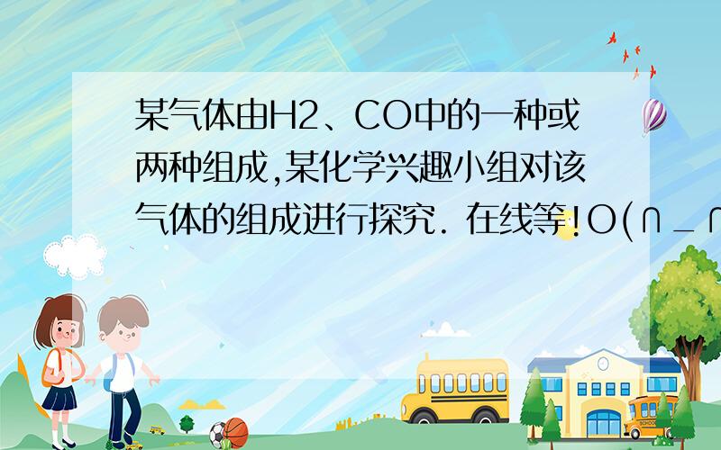 某气体由H2、CO中的一种或两种组成,某化学兴趣小组对该气体的组成进行探究. 在线等!O(∩_∩)O谢谢