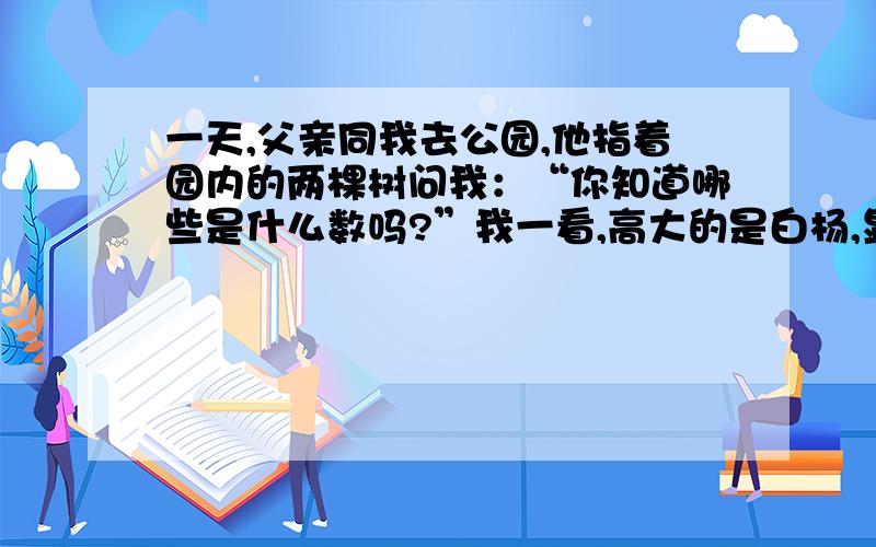 一天,父亲同我去公园,他指着园内的两棵树问我：“你知道哪些是什么数吗?”我一看,高大的是白杨,显得十分矮小的是银杏.父亲