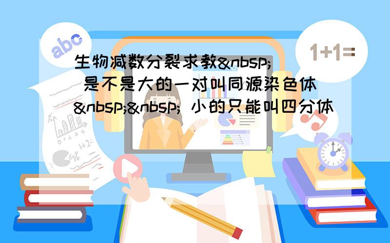 生物减数分裂求教  是不是大的一对叫同源染色体   小的只能叫四分体