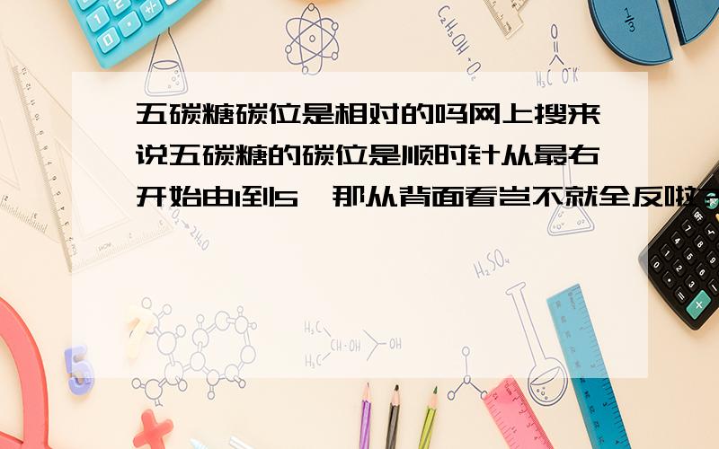 五碳糖碳位是相对的吗网上搜来说五碳糖的碳位是顺时针从最右开始由1到5,那从背面看岂不就全反啦?所以五碳糖的碳位是相对来说