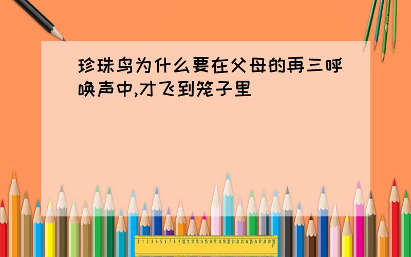 珍珠鸟为什么要在父母的再三呼唤声中,才飞到笼子里