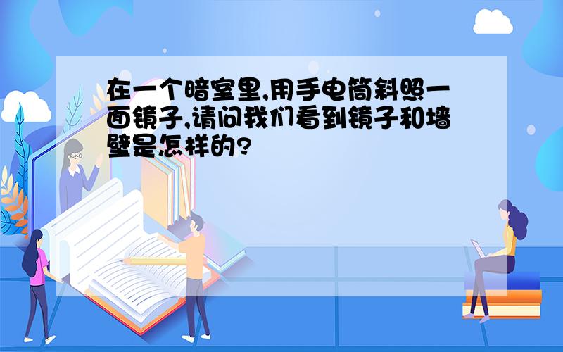 在一个暗室里,用手电筒斜照一面镜子,请问我们看到镜子和墙壁是怎样的?