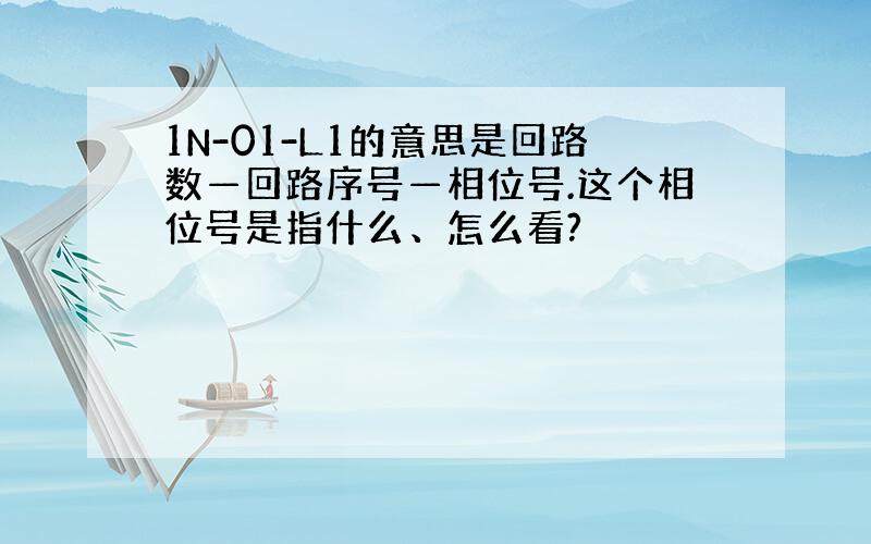 1N-01-L1的意思是回路数—回路序号—相位号.这个相位号是指什么、怎么看?