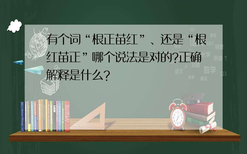 有个词“根正苗红”、还是“根红苗正”哪个说法是对的?正确解释是什么?