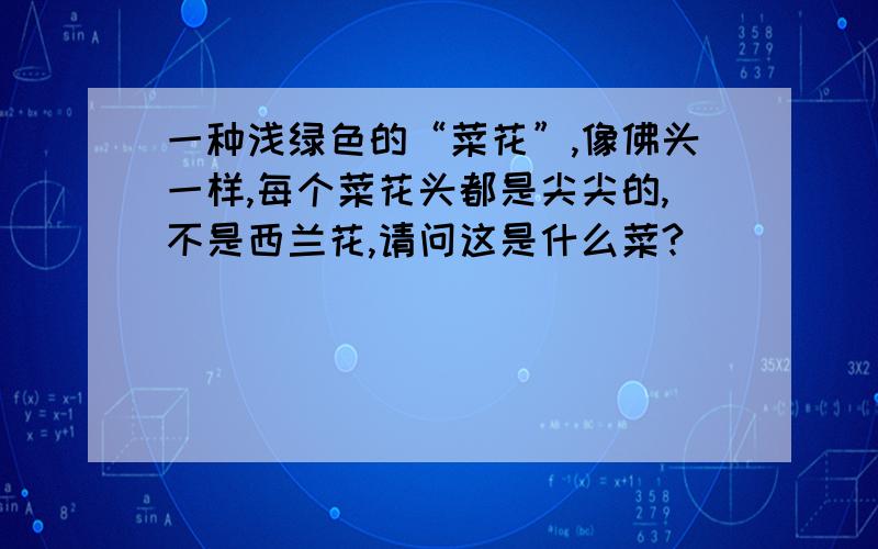 一种浅绿色的“菜花”,像佛头一样,每个菜花头都是尖尖的,不是西兰花,请问这是什么菜?