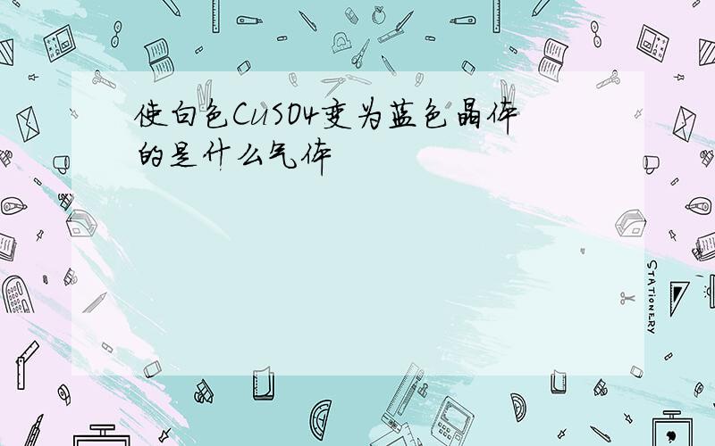 使白色CuSO4变为蓝色晶体的是什么气体