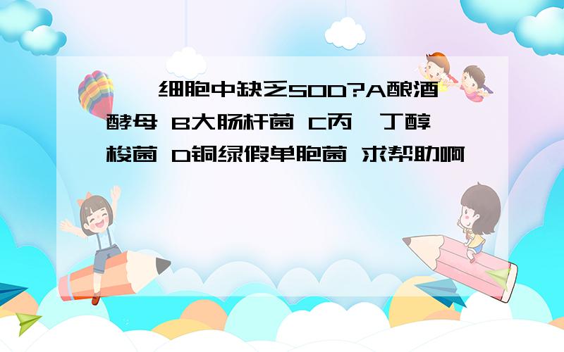 ——细胞中缺乏SOD?A酿酒酵母 B大肠杆菌 C丙酮丁醇梭菌 D铜绿假单胞菌 求帮助啊