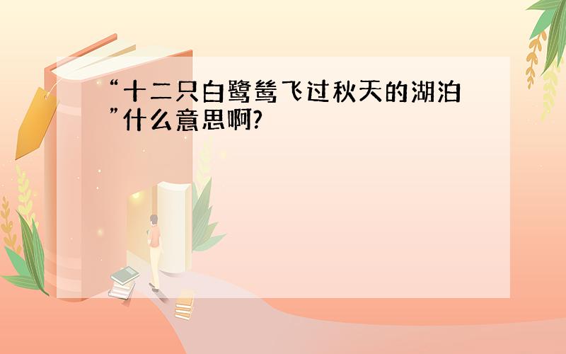 “十二只白鹭鸶飞过秋天的湖泊”什么意思啊?