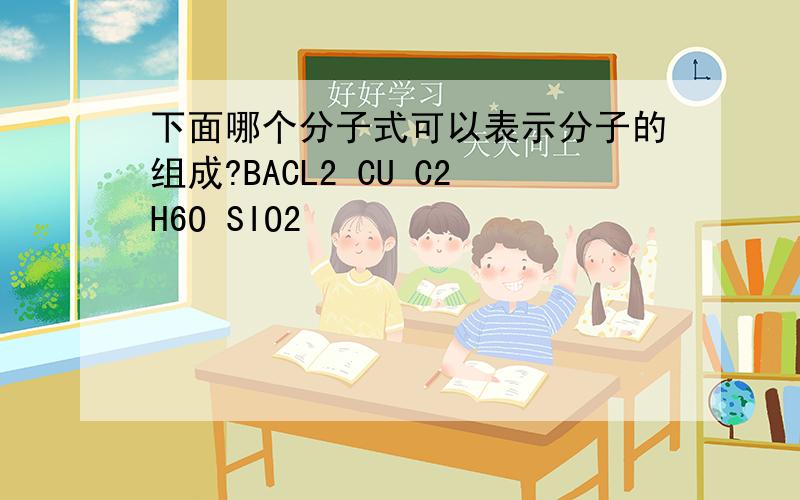 下面哪个分子式可以表示分子的组成?BACL2 CU C2H6O SIO2