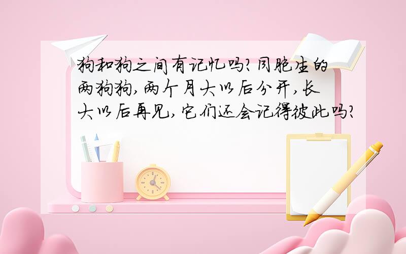 狗和狗之间有记忆吗?同胞生的两狗狗,两个月大以后分开,长大以后再见,它们还会记得彼此吗?