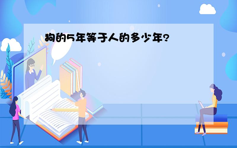 狗的5年等于人的多少年?