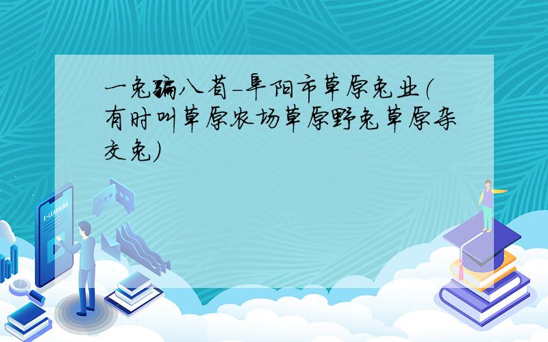 一兔骗八省-阜阳市草原兔业（有时叫草原农场草原野兔草原杂交兔）