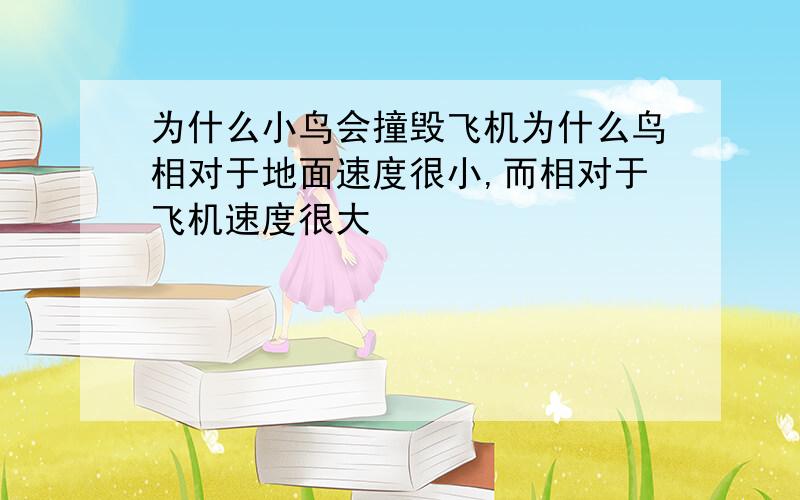 为什么小鸟会撞毁飞机为什么鸟相对于地面速度很小,而相对于飞机速度很大