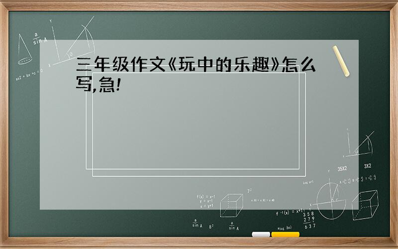 三年级作文《玩中的乐趣》怎么写,急!