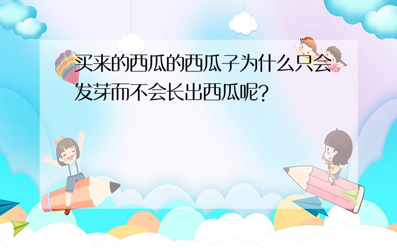 买来的西瓜的西瓜子为什么只会发芽而不会长出西瓜呢?