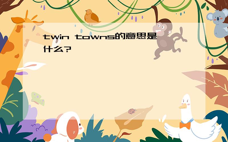 twin towns的意思是什么?