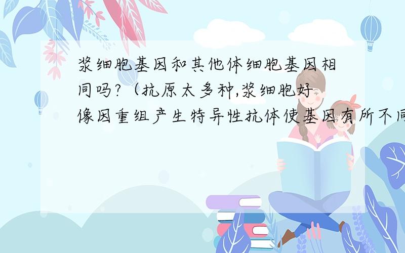 浆细胞基因和其他体细胞基因相同吗?（抗原太多种,浆细胞好像因重组产生特异性抗体使基因有所不同）解释