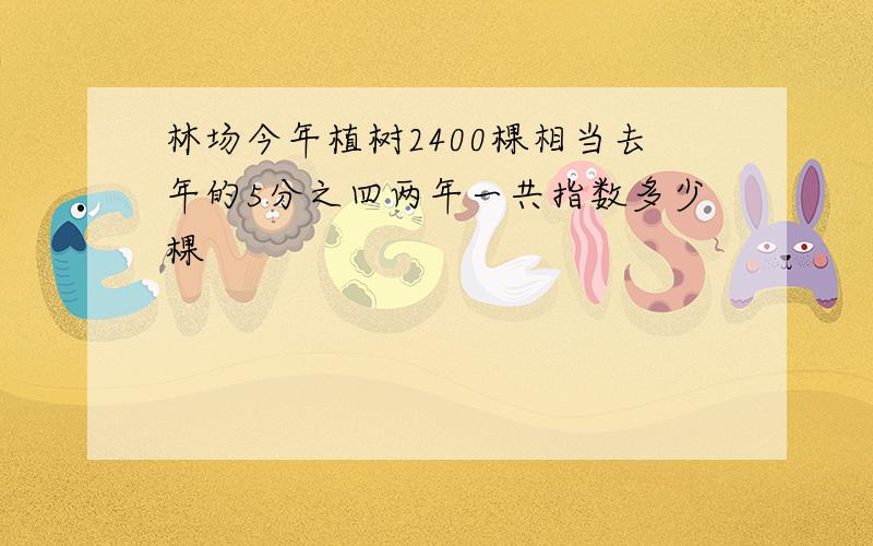 林场今年植树2400棵相当去年的5分之四两年一共指数多少棵