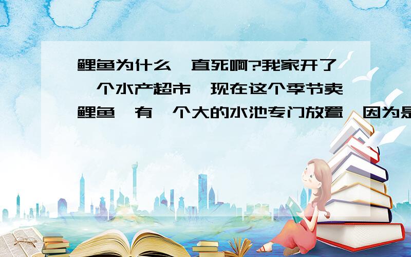 鲤鱼为什么一直死啊?我家开了一个水产超市,现在这个季节卖鲤鱼,有一个大的水池专门放置,因为是超市所以无法用饲料喂养,进回