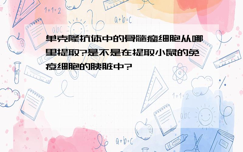 单克隆抗体中的骨髓瘤细胞从哪里提取?是不是在提取小鼠的免疫细胞的胰脏中?