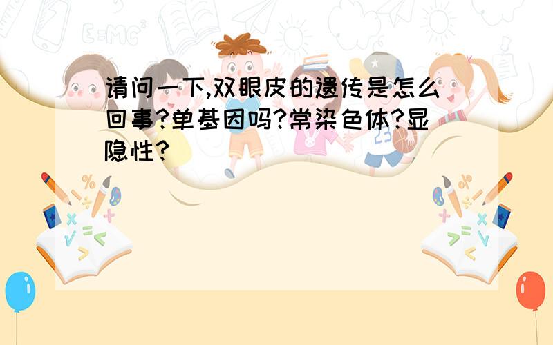 请问一下,双眼皮的遗传是怎么回事?单基因吗?常染色体?显隐性?