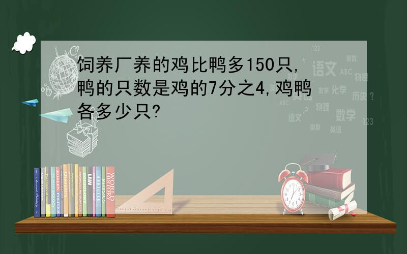 饲养厂养的鸡比鸭多150只,鸭的只数是鸡的7分之4,鸡鸭各多少只?