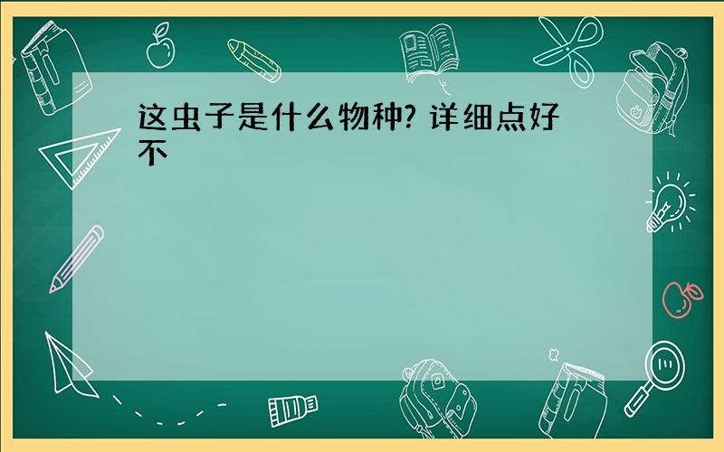 这虫子是什么物种? 详细点好不