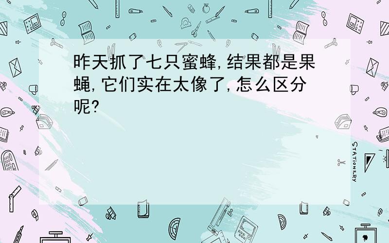 昨天抓了七只蜜蜂,结果都是果蝇,它们实在太像了,怎么区分呢?